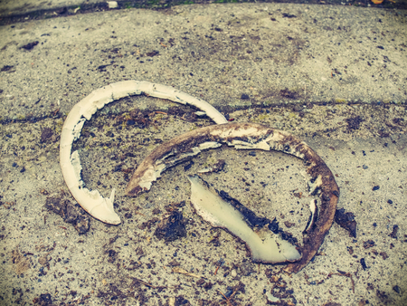 Cut horse hoof keratin. Waist of hooves after blacksmith trimming.の写真素材