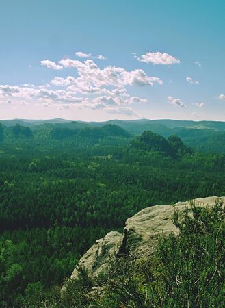 Popular trail in sandstone rocks. Rounded summit boulder with broken pine tree.  and heather bush. Hill peaks increased from colorful background.の写真素材