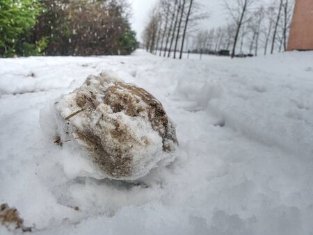 Horse's hooves pressed in nature ground in the winter season. Farm life stuff