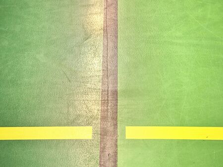 Shadow of indoor football floor field. Light  green floor with black lines in sport stadium with line backgroundの写真素材