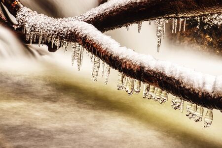 Iced water on a small river stream in a forest on a cold autumn dayの写真素材
