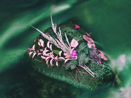 Colorful fallen leafs caught on the stone in rapids of mountain stream. Mossy wet slipper stone in...