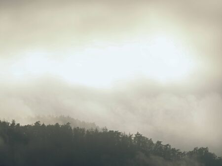 Misty mountain valley. Fantastic forest landscape. Mountain contours in clouds of heavy msit....