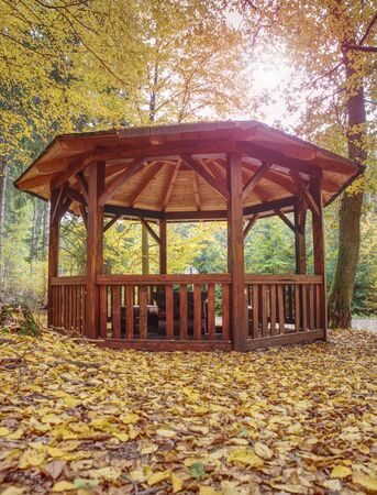 Renewal wooden Arbor or pavilon in leaves forest in fall season. Place for leisure travelers. Concept: environment protect natureの写真素材
