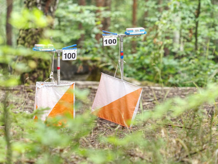 Orienteering training in forest parkland. Outdoor orienteering check point activityの写真素材
