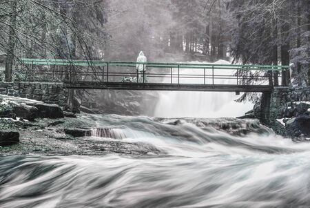Side view of three hiking friends in the forest exploring nature. crossing bridge.の写真素材