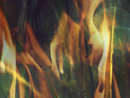 grass with drops on morning.  Abstract filter.の写真素材