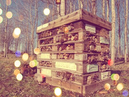Decorative bug house from sandstone and wood, ladybird and bee home for butterfly hibernation and...