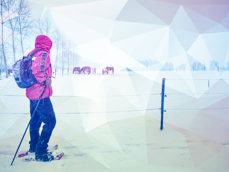 Snowshoeing. seasonal activity sport sportsman hobby recreation travel concept. Abstract filter.の写真素材