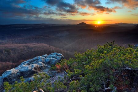 Sandstone rocky peak in the sunrise,  a small bonsai pine tree on top.の写真素材