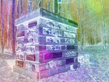 Wild bee insect shelter at a meadow. with wood, bamboo sticks, brick stones and limestone. Abstract filter.の写真素材