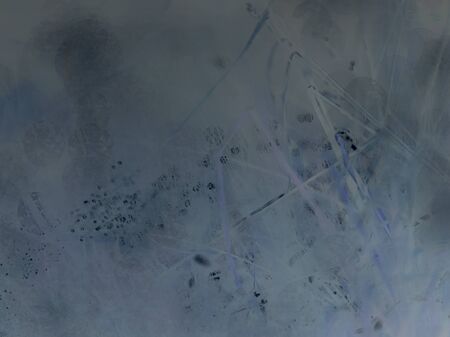 sun light through fog and clouds above the forest. trees on the hill viewed from below. magical nature.  Abstract filter.の写真素材