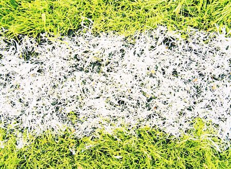 Detail of used synthetic grass for football field with milled rubbery pulp.の写真素材