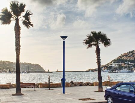 Mediterranean Sea. Embankment, city beach. In the frame of two palm trees. Autumn time, Mallorcaの写真素材