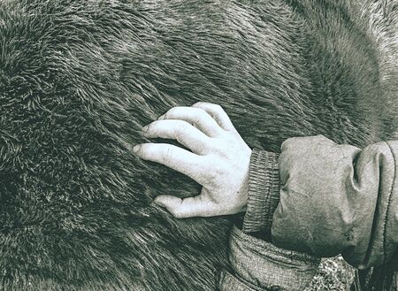 Hand brushes horse fur from mud. Dashed pencil sketch effect.