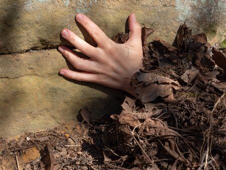 From rotten autumn leaves climb up  girl hands. Autumn mood. Fall time. Sunny autumn weathe