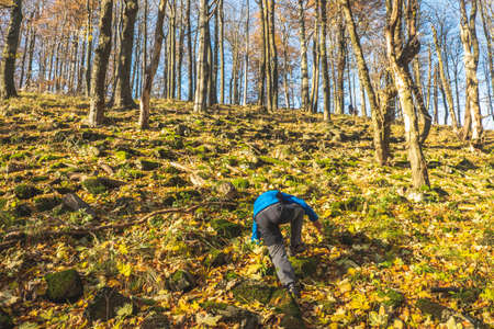 Active small boy is climbing on all four up to peak of stony hill. Autumn forest with yellow orange...