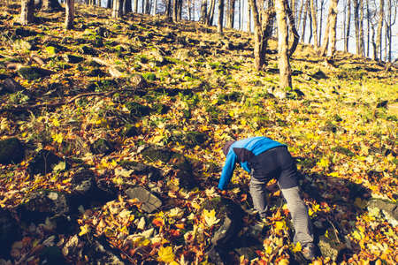 Active small boy is climbing on all four up to peak of stony hill. Autumn forest with yellow orange...