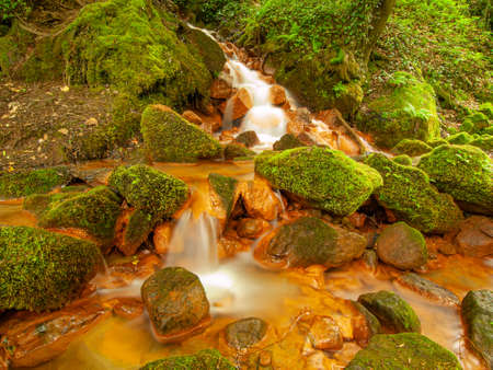 Stream at Sucha Kamenice iriver n the national park Bohemian Switzerland, Czech Republic