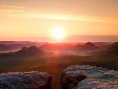 Warm misty autumn land in red colorful vapor. Rocky gulch full of purple fog and Sun is hidden in heavy mist.の写真素材