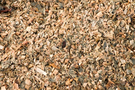 Wet corn maize silage milled as animal feed. Waste from the end of corn shelling processの写真素材
