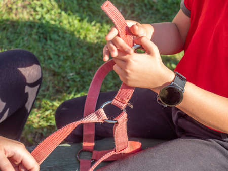 Girls from riding club set horse halter together for time. Sport horse riding school for kidsの写真素材