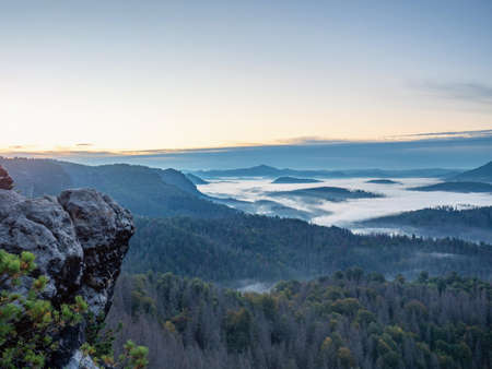 Gentle foggy misty landscape with fir forest and pine trees in mountains valley, aerial viewの写真素材