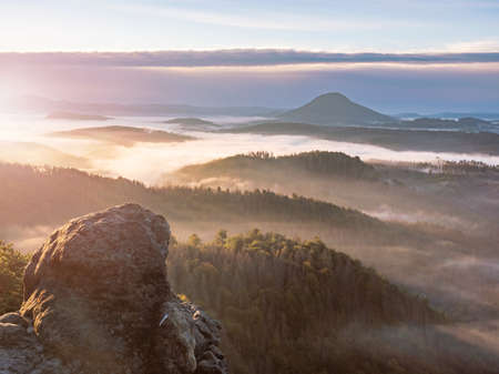 Misty summer landscape from above. Scenic natural background. White fog over valley.の写真素材