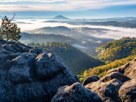Morning september landscape with fir forest and first mist in valley. Aerial view, misty autumn season in mountains valleyの写真素材