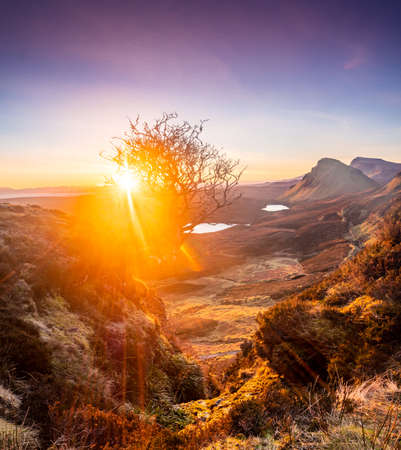 Daybreak and very famous tree that you cannot miss if you visit Quiraing, Isle of Skye, Scotlandd....