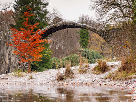 Colorful leaves on deciduous tree at round Rakotzbrucke also known as Devils Bridge in Azalea and...