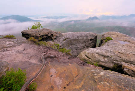 Summit View across the Grosser Zschand Valley in Saxony. Morning twilight and fog. Fog at dawn in the Valleyの写真素材