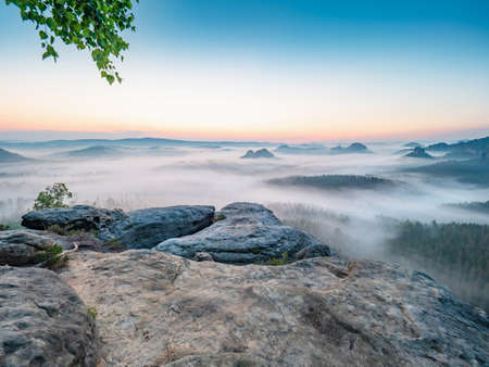 Fantastic dreamy sunrise on top of rocky mountain with view into Grosser Zschand valley full of creamy mist. Mountain view. Foggy mountain park. Dreamy forrestの写真素材