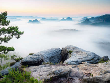 Popular Kleiner Winterberg view, beautiful morning view over sandstone edge into deep misty valley in Saxon Switzerland, nature park in Germany. Rich mist and beautiful backlight.の写真素材