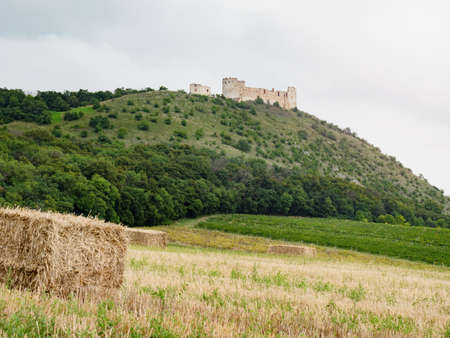 Devin Hill with the rest of Devicky castle above field and vineyard. Sunny summer day spent in South Moravia region, Czechia.の写真素材