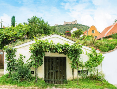 Pavlov, Czechia. 29th of August 2021. Traditional Wine Cellars in Pavlov, Czech Republic, Europe. Wine region and local folklore.のeditorial素材
