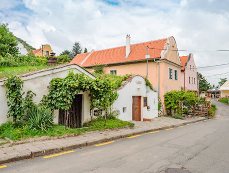 Pavlov, Czechia. 29th of August 2021. The last street close to vineyards, fruit orchards in Palava region, South East Czechia, Europe.のeditorial素材
