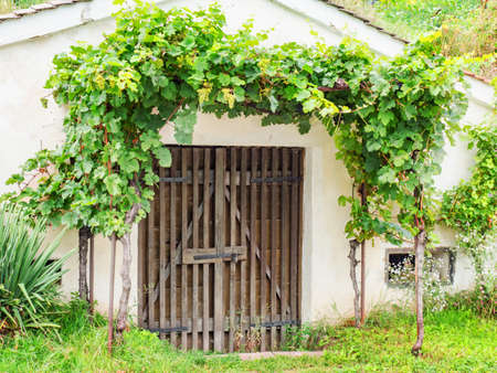 Pavlov, Czechia. 29th of August 2021. Entranceof typical wine cellar in Pavlov, Moravia, Czech Republic. Moravia wine region, tourism. Traditional buildingsの写真素材