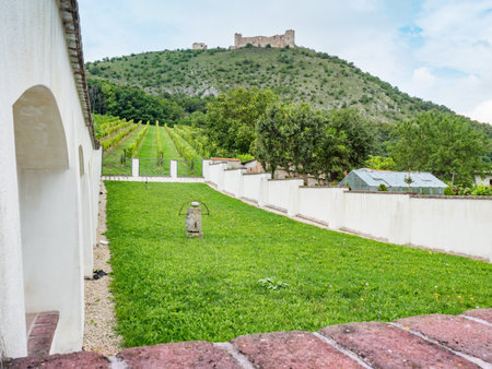 Pavlov, Czechia. 29th of August 2021. Vineyards region of Pavlov in Czech republic with ruin of Devicky castle.の写真素材