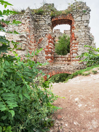 Interier of Ruin Devicky gothic castle on the hill above Dolni Vestonice and Pavlov village, South Bohemia.の写真素材