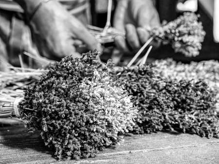 Lavender flowers, hands and preparing of nice smells bouquets on vintage yellow working table. French garden. BW, Black and white,の写真素材