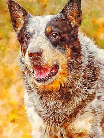 Adorable active Australian working dog standing against autumn forest. Watercolor paint.の写真素材