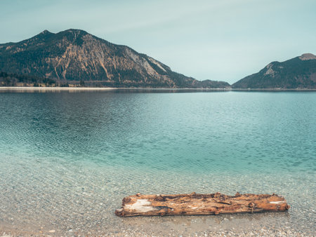Idyllic summer landscape with mountain lake in the Alps in southern Bavaria, Germanyの写真素材