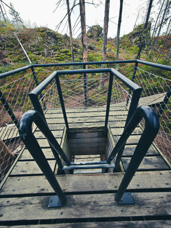 Steel adder in vertical wooden architecture with verdant trees background, viewtowerの写真素材
