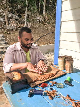 VINALES VALLEY, CUBA - February 18, 2019: Cuban man working in a cigars factory. Man processing the tobacco leaves and making cigars.のeditorial素材