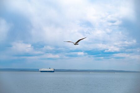 Ship on the roadstead in the Amur Bay.のeditorial素材