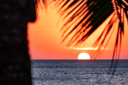 Sunset on the background of bottles standing on the bar. The sun passes through the bright glass of...