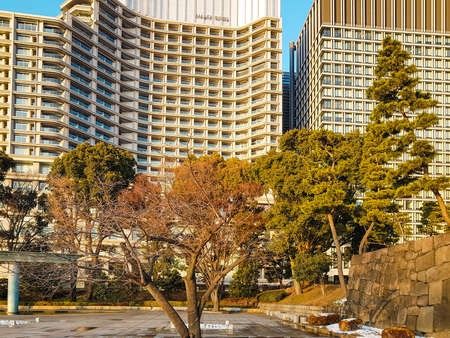 Tokyo, Japan- Jan 23, 2018: A Park in the Tokyo Imperial Palace districtのeditorial素材