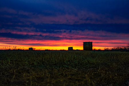 Field with mowed dry grass on the background of an amazing sunset. The grass is collected in haystacks.の写真素材