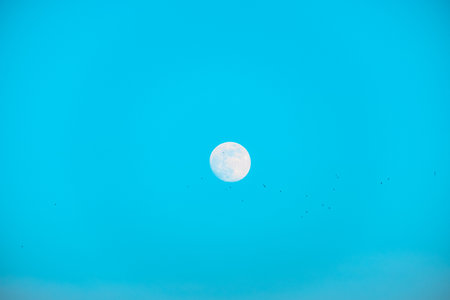Full moon isolated on a black skyの写真素材